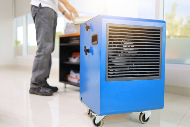 Dehumidification Services in Georgetown, OH